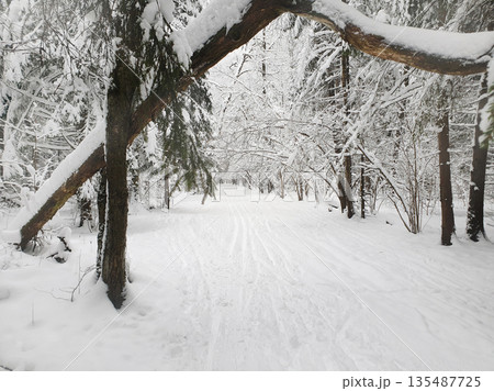 Large snow (in December 2021) in Moscow from 1989 year (32 years ago) Large snow (in December 2021) in Moscow from 1989 year (32 years ago) 135487725