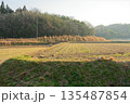 田んぼ 135487854