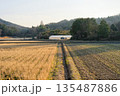 農村の風景 135487886