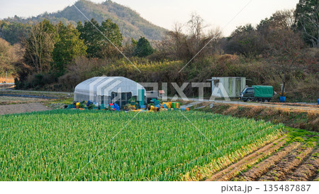 農村の風景 135487887