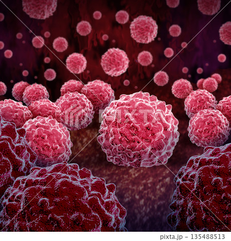 Chlamydia Chlamydia 135488513