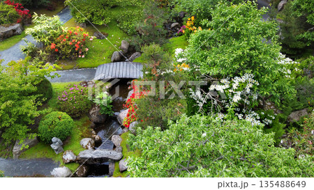 Aerial view on rhododendron blossoms in Japanese garden. Stream and small wooden footbridge. Footbridges, rrocks Aerial view on rhododendron blossoms in Japanese garden. Stream and small wooden footbridge. Footbridges, rrocks 135488649