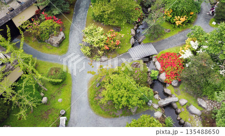 Aerial view on rhododendron blossoms in Japanese garden. Stream and small wooden footbridge and smaall stone footbridge. White viburnum blossoms Aerial view on rhododendron blossoms in Japanese garden. Stream and small wooden footbridge and smaall stone footbridge. White viburnum blossoms 135488650