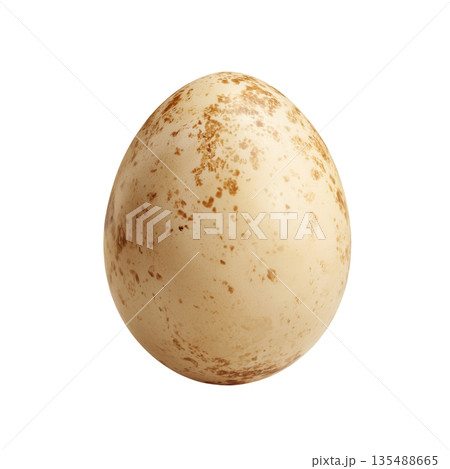 Creative Close-Up of a Speckled Egg Showcasing Natural Colors and Textures on a Smooth Surface Creative Close-Up of a Speckled Egg Showcasing Natural Colors and Textures on a Smooth Surface 135488665