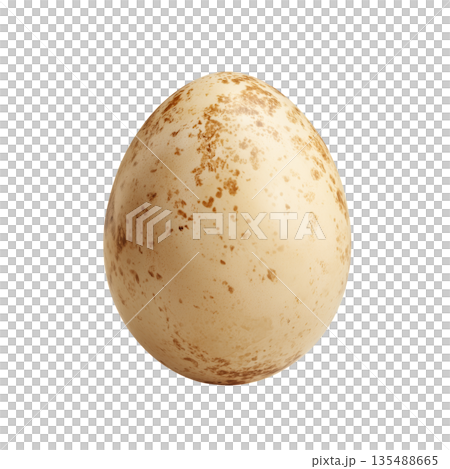Creative Close-Up of a Speckled Egg Showcasing Natural Colors and Textures on a Smooth Surface Creative Close-Up of a Speckled Egg Showcasing Natural Colors and Textures on a Smooth Surface 135488665
