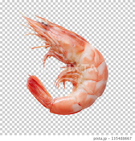 Freshly Peeled Shrimp Pile Ready for a Delicious Seafood Dish 135488667