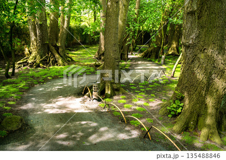 Garden path in Japanese garden in Northen Europe in May Garden path in Japanese garden in Northen Europe in May 135488846