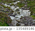 Clear water flows rapidly down a rocky stream bed. Moss covers the rocks, and heather blooms nearby, adding color to the rugged landscape. 135489146