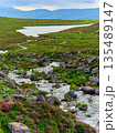 A small river is surrounded by rocks, green grass, and pink flowers. Distant mountains and a calm, flat lake are visible in the National Park. 135489147