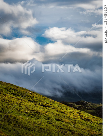 Rolling fog and low clouds over grassy hills in the Highlands on a summer day. 135489157