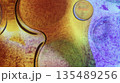 Oil bubbles floating in colored water - Macro. 135489256