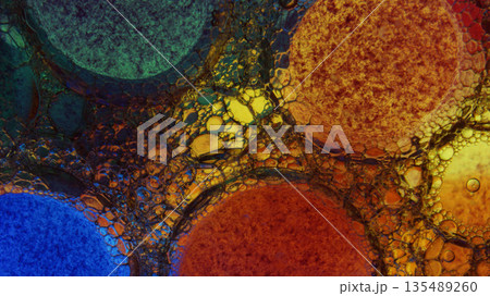 A colorful background with many small drops of water. 135489260