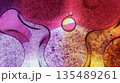 A colorful background with many small drops of water. 135489261