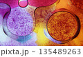 abstract background with bubbles, Vibrant Abstract Oil and Water Bubbles with Gradient Colors Background image. 135489263
