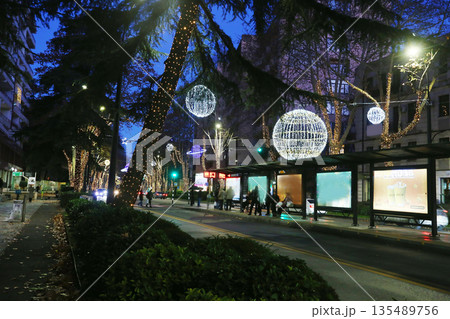 Christmas decoration on Chavchavadze Ave in twilight and cars and Plane trees-traffic. Christmas decoration on Chavchavadze Ave in twilight and cars and Plane trees-traffic. 135489756