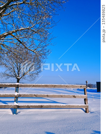 Snow Covered Wooden Fence Rural Winter. Rustic wooden fence covered in fresh snow with bare tree and distant snowy fields under bright blue sky. Cozy winter countryside scene and rural charm. 135489825
