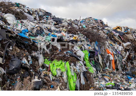 Large landfill filled with piles of garbage and various waste materials under a cloudy sky. Pollution fills the area with debris Large landfill filled with piles of garbage and various waste materials under a cloudy sky. Pollution fills the area with debris 135489850