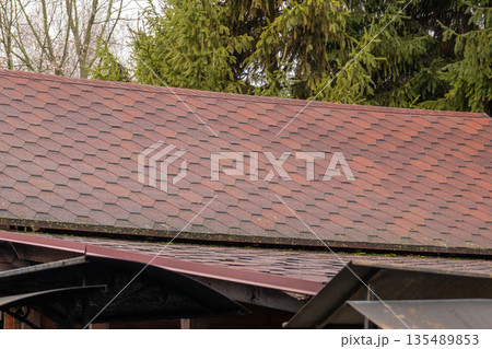 Roof covered with hexagonal tiles sits under tall trees with overcast sky in the background during early spring Roof covered with hexagonal tiles sits under tall trees with overcast sky in the background during early spring 135489853