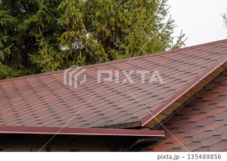 Construction work is being done on a building roof near tall pine trees with a cloudy sky above in a rural setting Construction work is being done on a building roof near tall pine trees with a cloudy sky above in a rural setting 135489856
