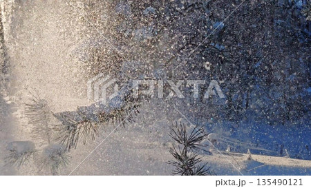 Pine branches heavy with snow and frost in winter forest under blue sky. Serene nature scene. Snowy Pine Branches Forest Pine branches heavy with snow and frost in winter forest under blue sky. Serene nature scene. Snowy Pine Branches Forest 135490121