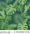 A seamless pattern of various tropical jungle leaves, including Monstera and palm, in shades of green on a dark teal background. Modern and stylish.. High quality photo 135490156