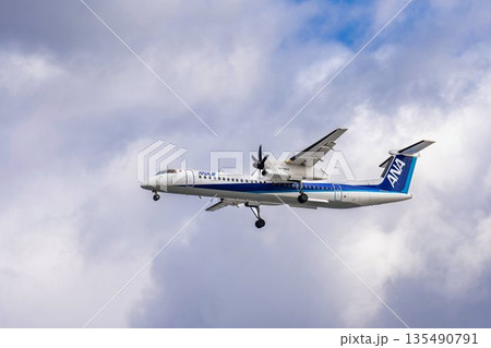 冬の大阪空港（伊丹空港）　着陸中の飛行機　大阪府豊中市 135490791