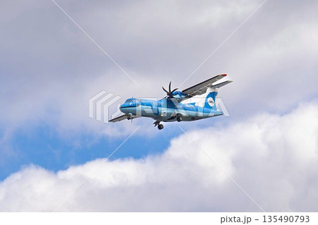 冬の大阪空港（伊丹空港）　着陸中の飛行機　大阪府豊中市 135490793