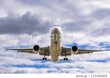 冬の大阪空港（伊丹空港）　着陸中の飛行機　大阪府豊中市 135490804