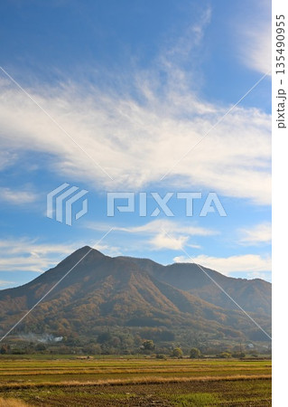 田園地帯に広がる木島平村の紅葉風景（長野県木島平村） 135490955