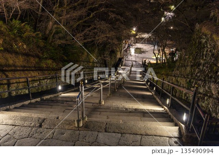冬の音羽山 清水寺 本堂から音羽の滝に続く階段 京都府京都市 冬の音羽山 清水寺 本堂から音羽の滝に続く階段 京都府京都市 135490994