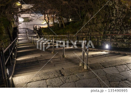 冬の音羽山 清水寺 本堂から音羽の滝に続く階段 京都府京都市 冬の音羽山 清水寺 本堂から音羽の滝に続く階段 京都府京都市 135490995