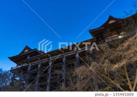冬の音羽山　清水寺　清水の舞台　京都府京都市 135491009