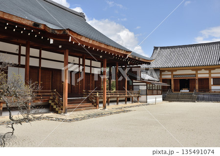聖護院 宸殿と本堂(不動堂) 聖護院 宸殿と本堂(不動堂) 135491074