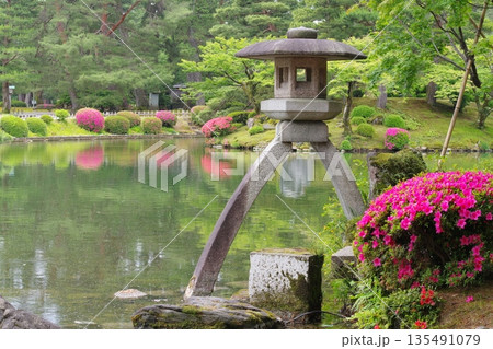 兼六園 霞ヶ池と徽軫灯籠 兼六園 霞ヶ池と徽軫灯籠 135491079