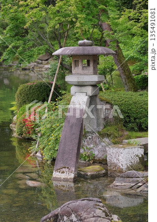 兼六園 徽軫灯籠 兼六園 徽軫灯籠 135491081