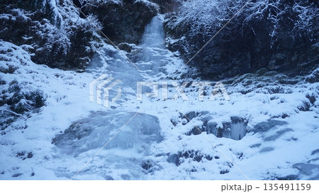鳴岩川氷瀑 135491159