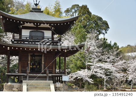 勧修寺 観音堂とサクラ(京都市山科区) 勧修寺 観音堂とサクラ(京都市山科区) 135491240