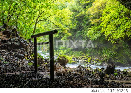 宮崎県 高千穂 天安河原 仰慕ヶ窟に広がる積み石と鳥居の風景 宮崎県 高千穂 天安河原 仰慕ヶ窟に広がる積み石と鳥居の風景 135491248