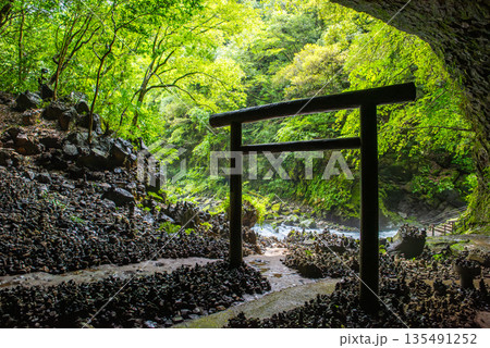宮崎県 高千穂 天安河原 仰慕ヶ窟に広がる積み石と鳥居の風景 135491252