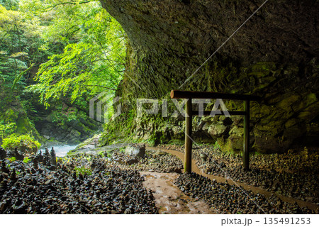 宮崎県 高千穂 天安河原 仰慕ヶ窟に広がる積み石と鳥居の風景 宮崎県 高千穂 天安河原 仰慕ヶ窟に広がる積み石と鳥居の風景 135491253