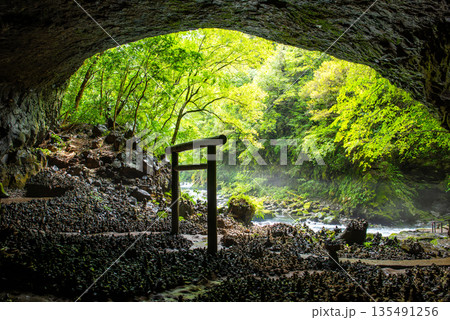 宮崎県 高千穂 天安河原 仰慕ヶ窟に広がる積み石と鳥居の風景 宮崎県 高千穂 天安河原 仰慕ヶ窟に広がる積み石と鳥居の風景 135491256