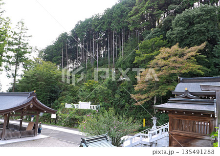 高麗神社（埼玉県日高市） 135491288