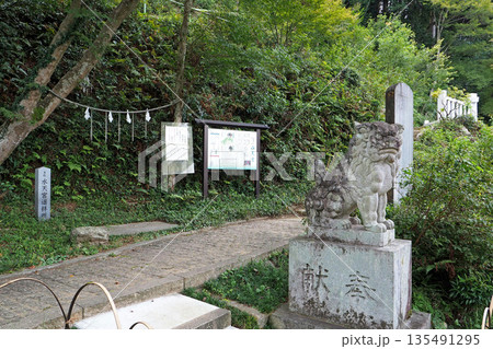 高麗神社 水天宮の参道（埼玉県日高市） 135491295