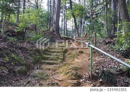 高麗神社 水天宮の参道（埼玉県日高市） 135491301