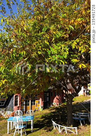 お菓子の家と紅葉風景(長野県長野市) お菓子の家と紅葉風景(長野県長野市) 135491728