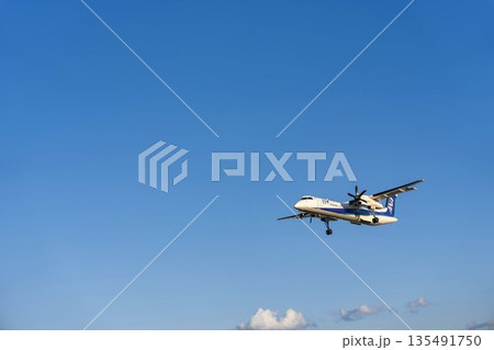 夕方の大阪空港（伊丹空港）　着陸中の飛行機　大阪府豊中市 135491750