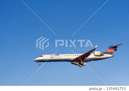 夕方の大阪空港（伊丹空港）　着陸中の飛行機　大阪府豊中市 135491753