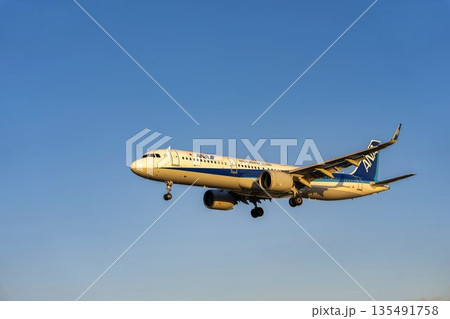 夕方の大阪空港(伊丹空港) 着陸中の飛行機 大阪府豊中市 夕方の大阪空港(伊丹空港) 着陸中の飛行機 大阪府豊中市 135491758