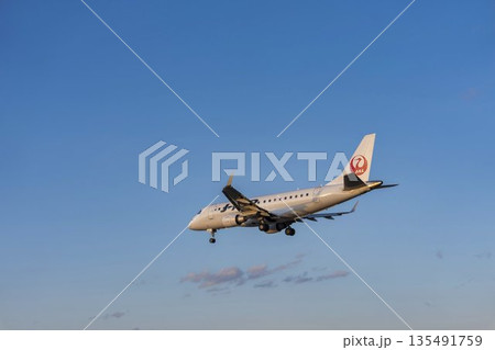 夕方の大阪空港（伊丹空港）　着陸中の飛行機　大阪府豊中市 135491759