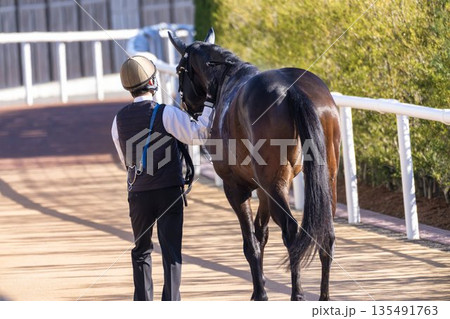 競馬場の風景　勝利後に厩舎に戻る馬と厩務員　京都府京都市 135491763
